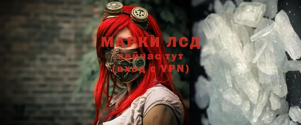 тгк Гусев
