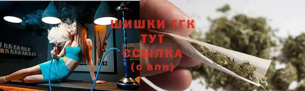 тгк Гусев