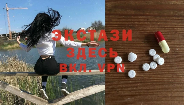 тгк Гусев