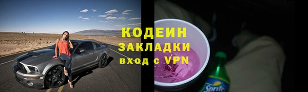 тгк Гусев