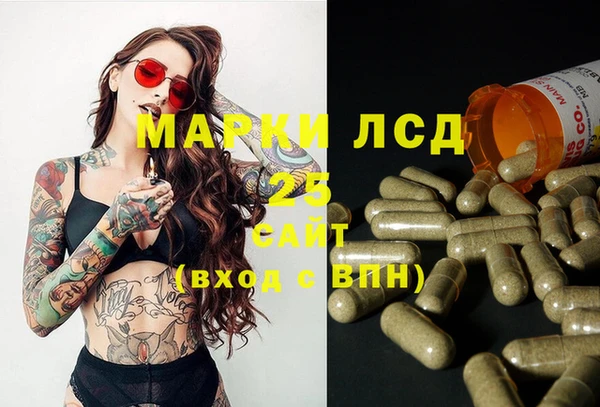 тгк Гусев