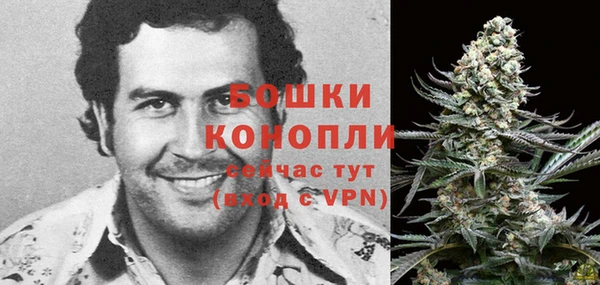 спиды Гусь-Хрустальный