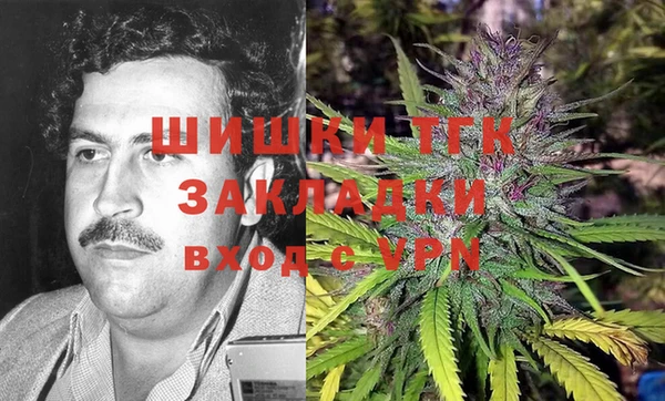 тгк Гусев
