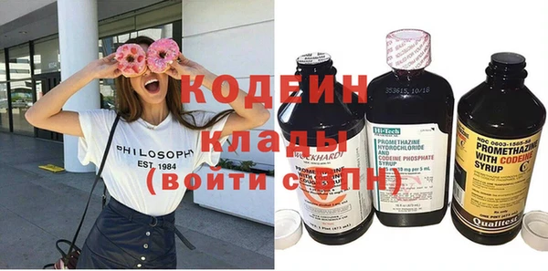 тгк Гусев