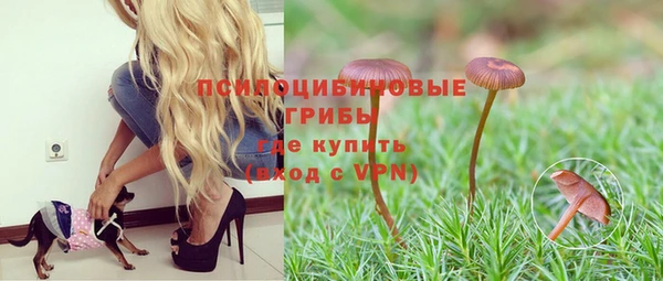 бутират Гусиноозёрск